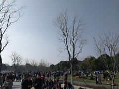 -昆山城市生态森林公园