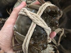 -学府海鲜批发市场