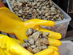 -见味花甲(福田coco park店)