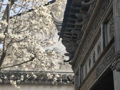 -艺圃