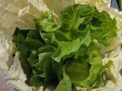 -探窝·竹笙椰子鸡(杨箕店)