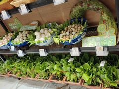 -映像威海·海鲜味道(经区店)