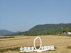 -风云岭森林公园