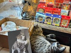 -正阳书局(西四南大街店)