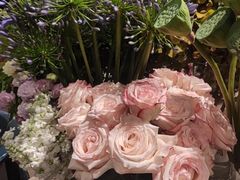 -BEAST野兽派(上海浦东嘉里城店)