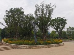 -东郊湿地公园