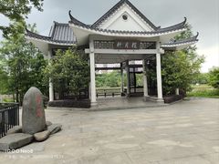 -映月湖公园