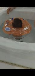 -宝生月子中心·独栋独院式(南山店)