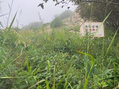 -阳台山自然风景区