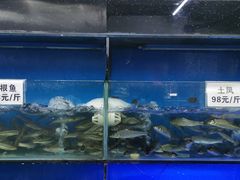 -秧秧鱼小鱼火锅(冉家坝总店)