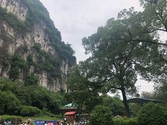 -柳州市动物园