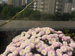 -THE hood开新里(御桥路店)