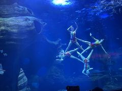 -多彩贵州城极地海洋世界