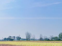 -中国天府农业博览园