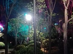 -唐城墙遗址公园