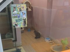 -联合动物医院(光谷诊疗中心)