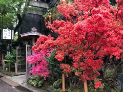 -伊豆荣(不忍亭店)