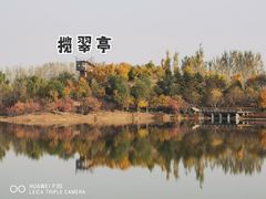 景点-东郊湿地公园