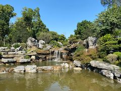 -东莞植物园