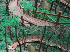 -大岭沟猕猴桃谷风景区