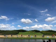 -迪茵湖田家舍生态农场