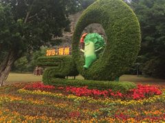 -金鸡山公园