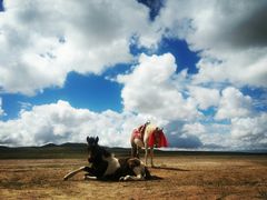 -青海湖国家重点风景名胜区