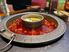 菌汤鸳鸯锅-晓宇重庆火锅(龙首店)