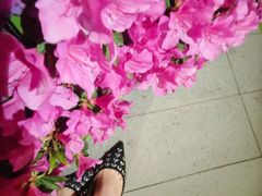 -JIMMY CHOO(德基广场店)