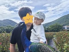 -亚龙湾国际玫瑰谷