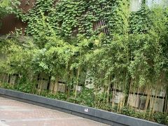 -溪畔•新徽菜(碧湖云溪店)
