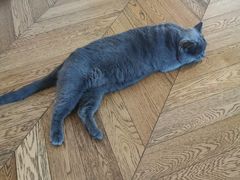 -Me Coffee下午茶艺术空间