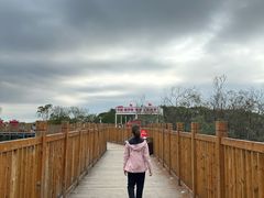 -珲春防川景区