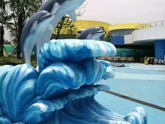 -芜湖新华联大白鲸海洋公园