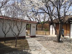 -北京世界公园