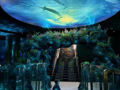 -陕西自然博物馆