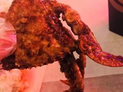 -Dampa Seafood Grill - Dubai