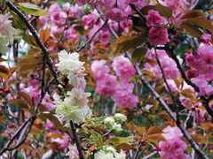 -白塘生态植物园