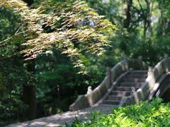 -汇龙潭