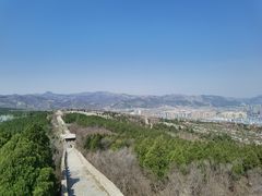 -原山国家森林公园