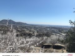-白水寺森林公园