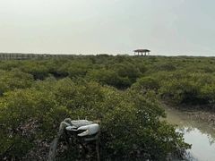 -北海金海湾红树林生态旅游区