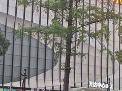 -万达广场(南京江宁店)