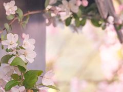 -莫愁湖公园