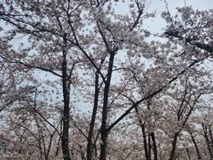-龙美术馆(西岸馆)
