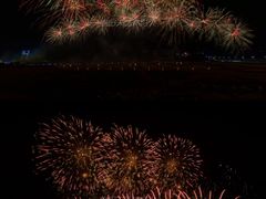 -南宁花花大世界景区