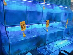 -有藕有鱼·湖北菜(唐家墩店)