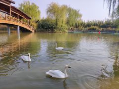 -兰陵国家农业公园