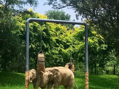 -北京野生动物园