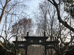 -杭州黄龙洞